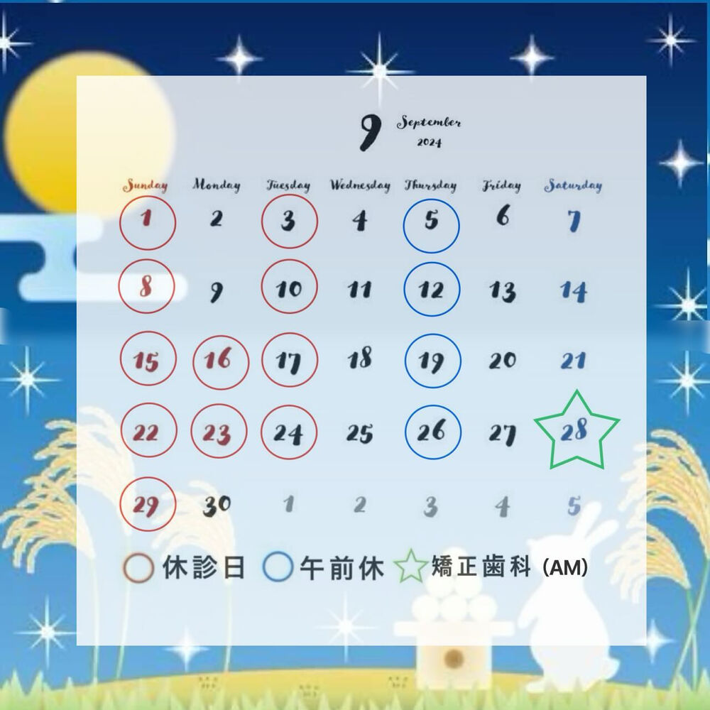 ブログ